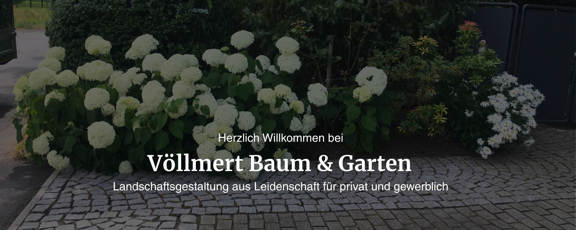 Völlmert Baum und Garten in Bad Honnef