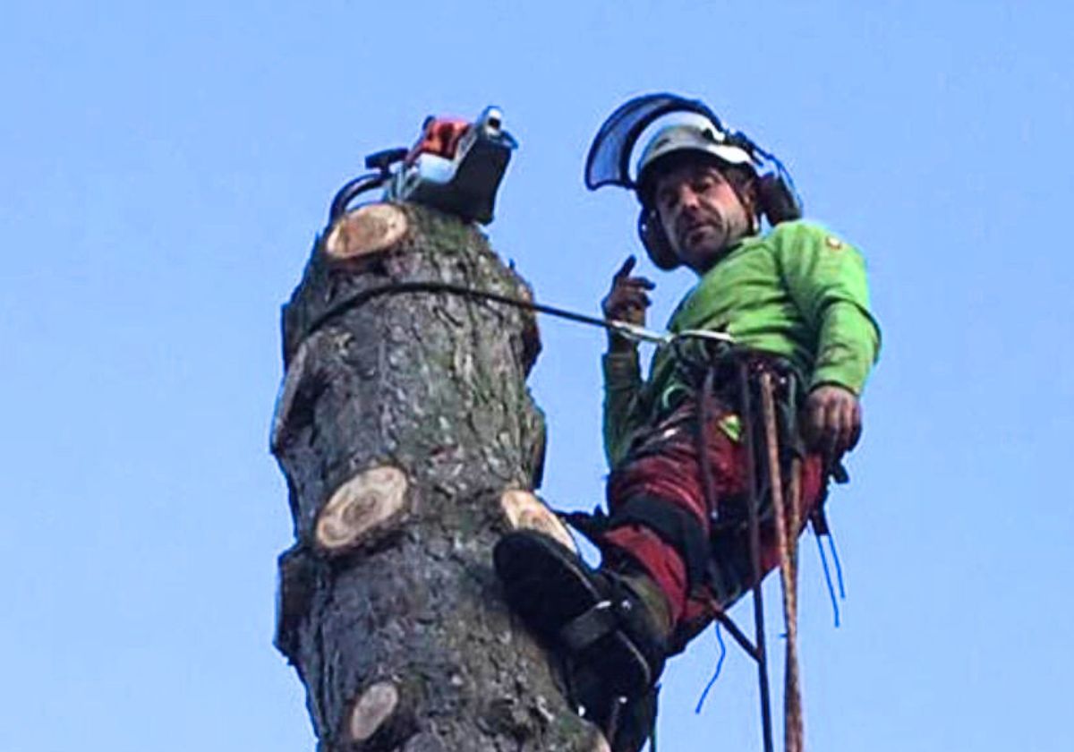 Garten und Baum Service in Bad Honnef