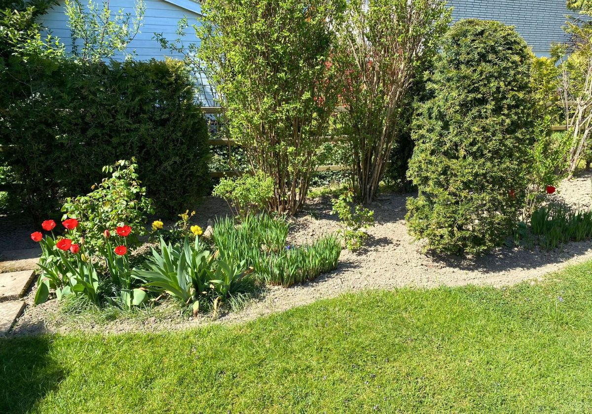 Garten- & Beetpflege in Bad Honnef