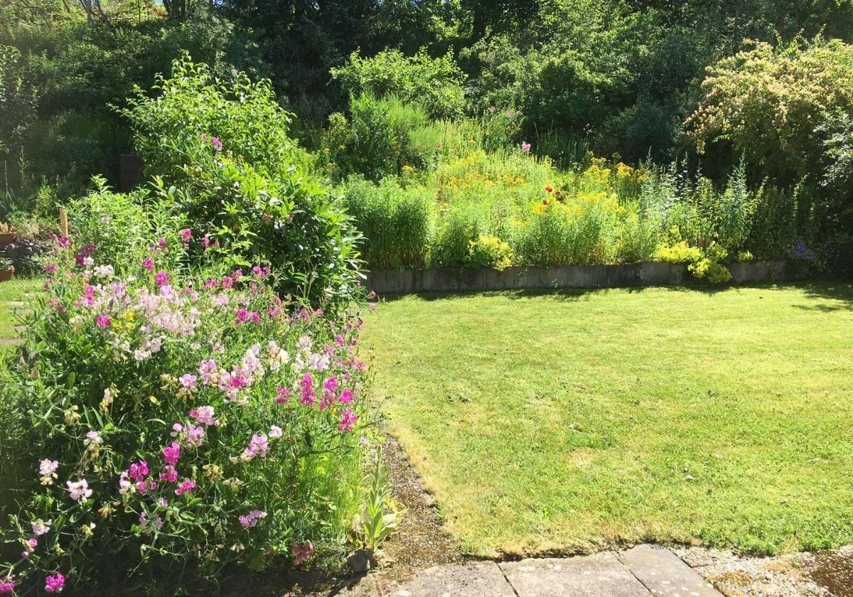 Garten- & Beetpflege in Bad Honnef