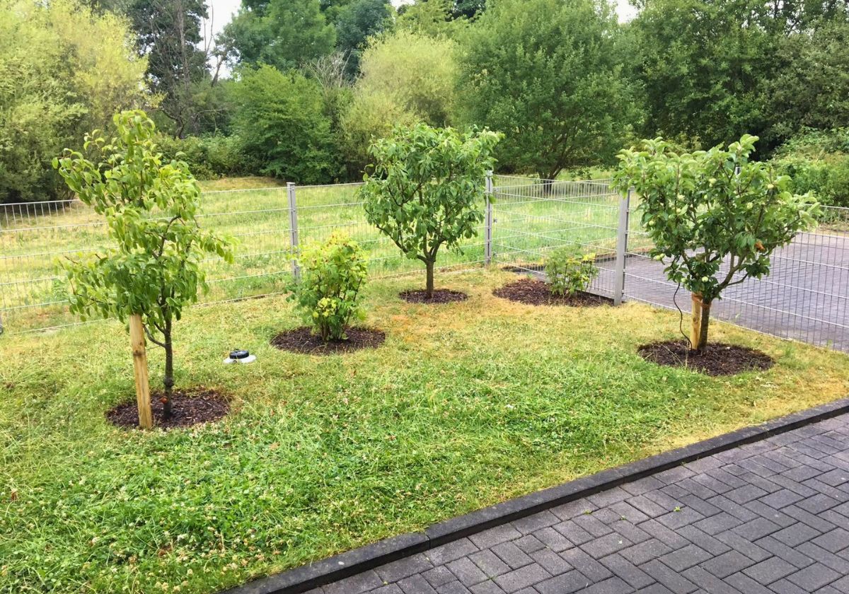 Garten- & Beetpflege in Bad Honnef