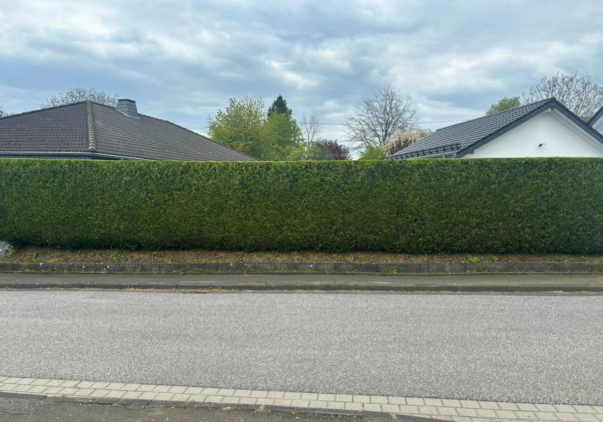 Hecken- & Gehölzschnitt in Bad Honnef