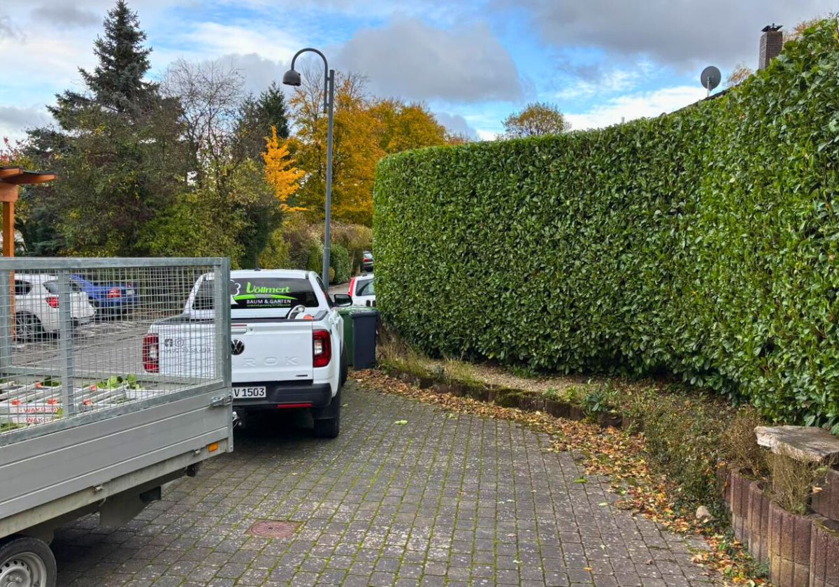 Hecken- & Gehölzschnitt in Bad Honnef