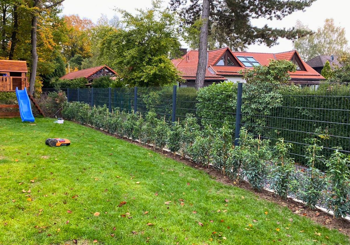 Pflanzarbeiten in Bad Honnef