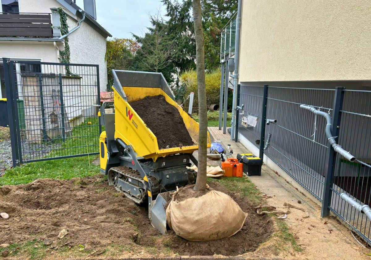 Pflanzarbeiten in Bad Honnef