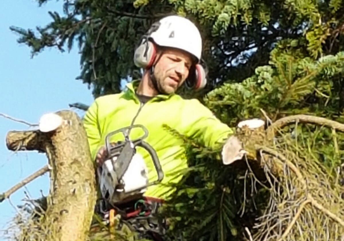 Baumpflege Völlmert Bad Honnef