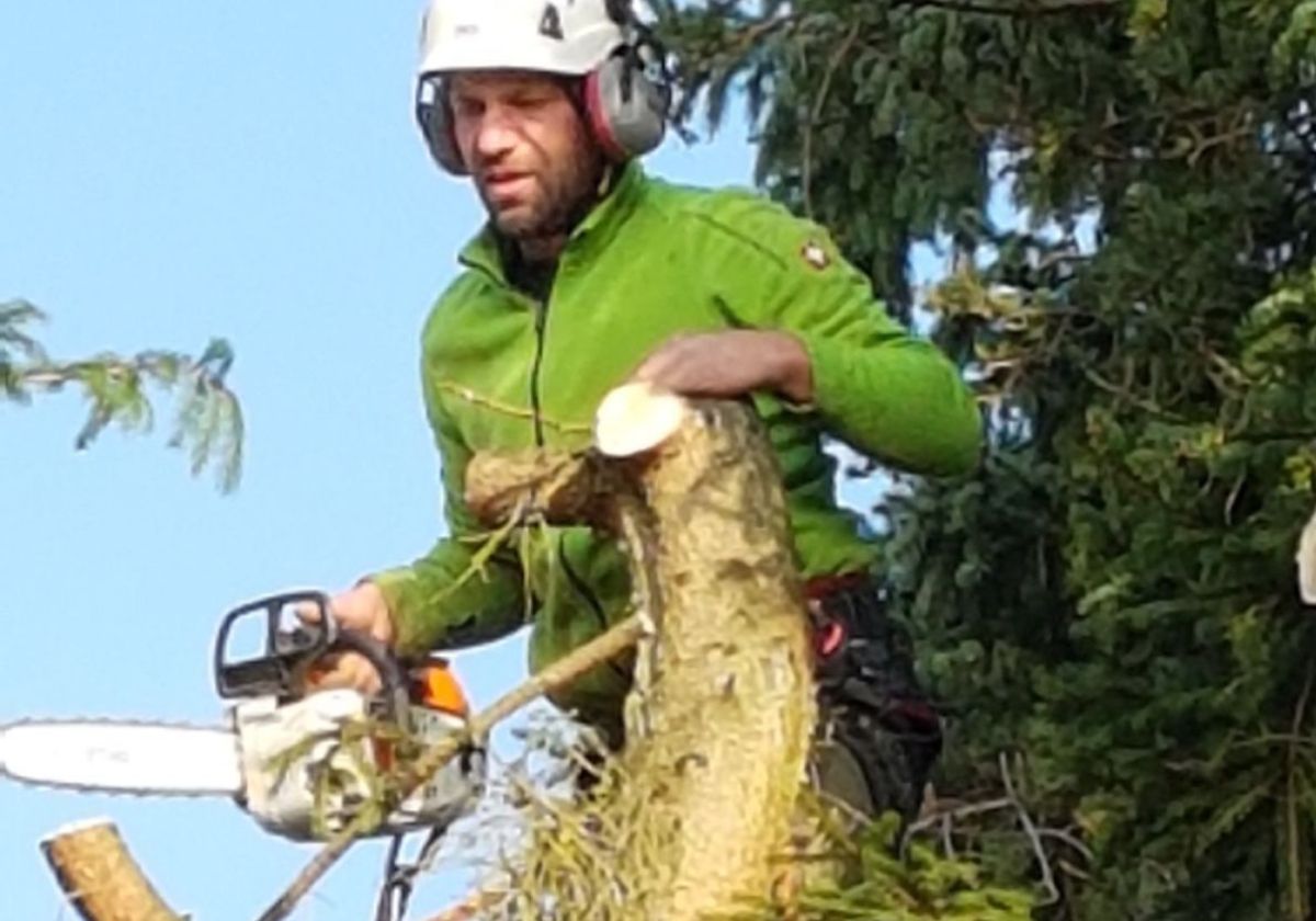 Qualität im Gartenbau Völlmert Bad Honnef